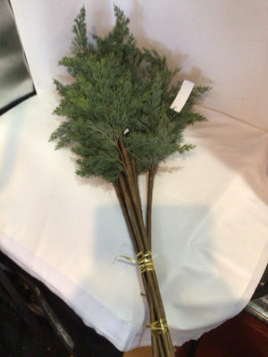 Green Plastic Pine Holiday Item