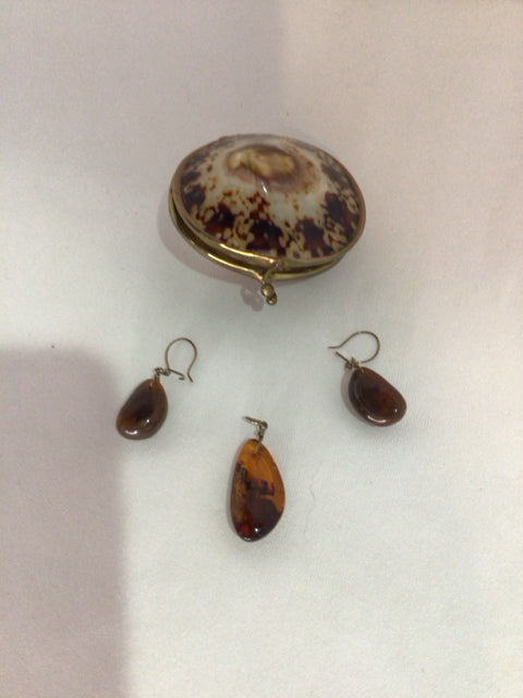 Shell Brown Box