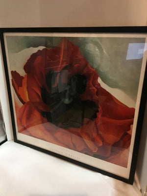 Red/Multi Poppy Framed Art