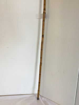 Brown Bamboo Cane