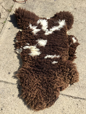 Sheepskin Brown/White Rug