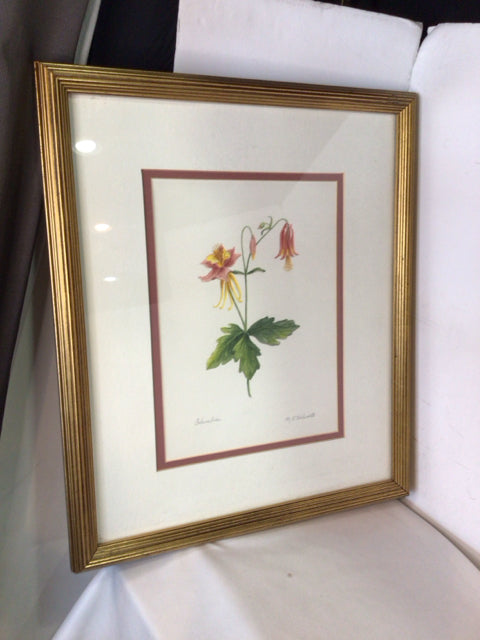 Botanical Pink/Green Framed Art