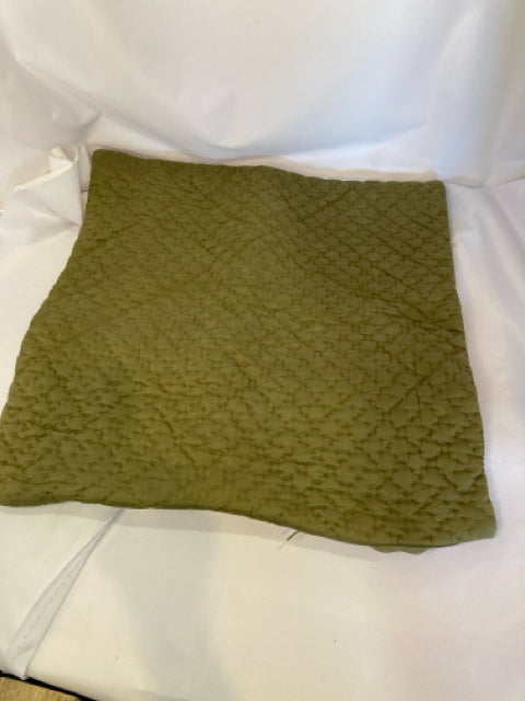 Pottery Barn Green Silk Pillow Cover