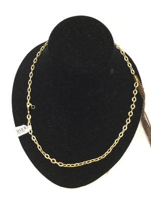 Gold/Brown Chain Necklace