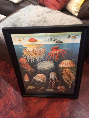 Blue/Red Jelly Fish Framed Art