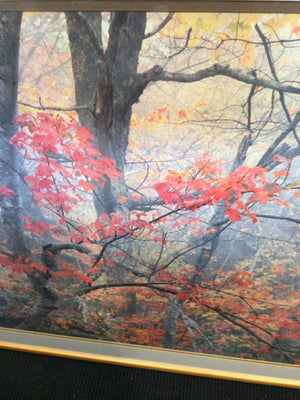 Red/Gray Forest Autumn Framed Art