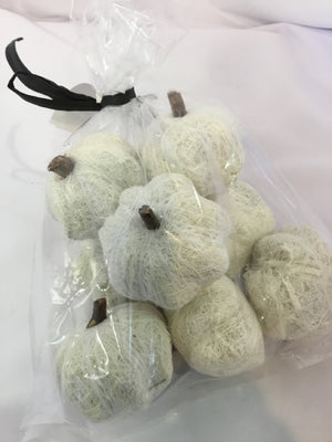 Bag of White Pumpkin Holiday Item