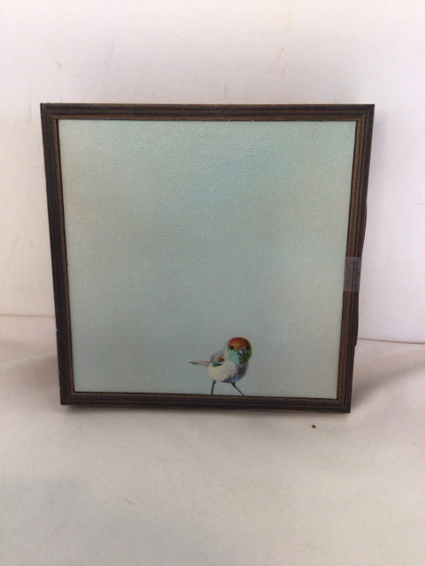 Blue/Multi Bird Framed Art