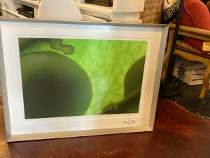 Signed Green/Silver Circles Frame