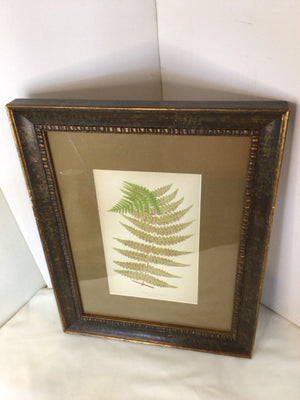 Botanical Green Leaf Framed Art