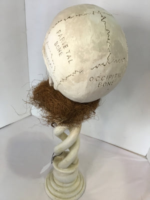 Halloween White/Brown Wood Skull Holiday Item