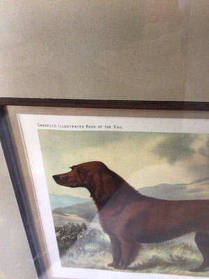 Traditional Green/Brown Dog Framed Art