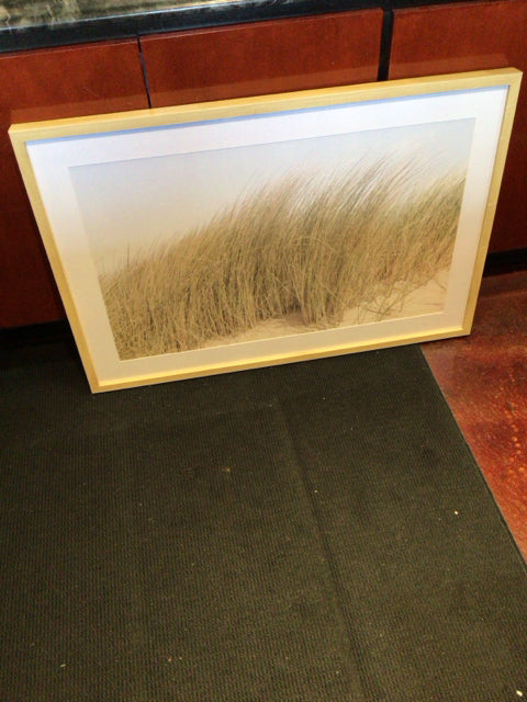 Threshold White/Tan Grass Framed Art