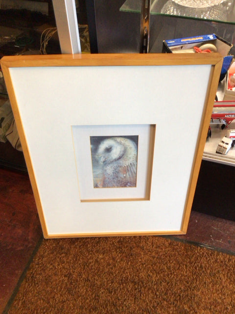 Gray/White Owl Framed Art
