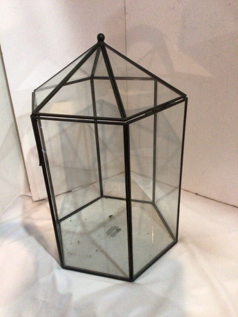 Industrial Clear/Gray Terrarium
