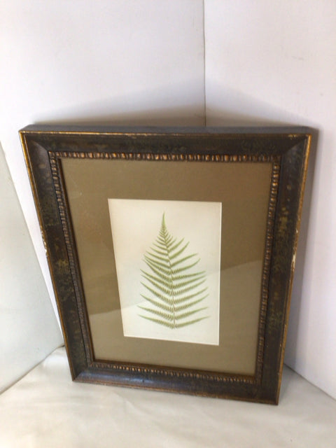 Botanical Green Leaf Framed Art
