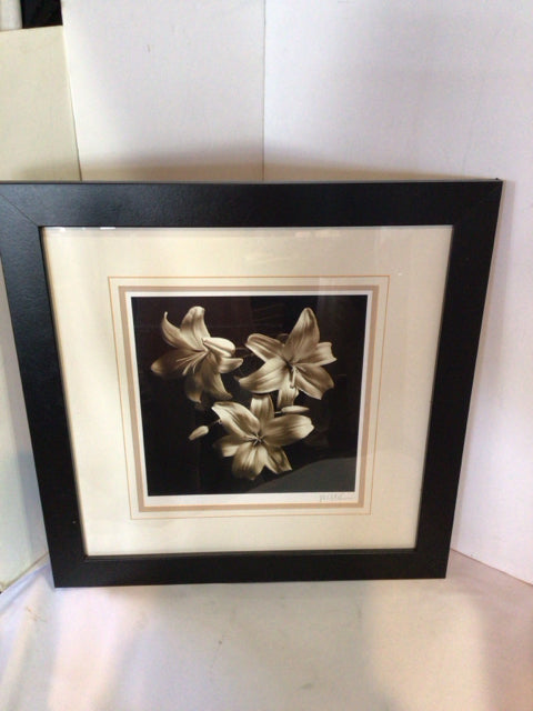 Signed White/Black Flowers Framed Art
