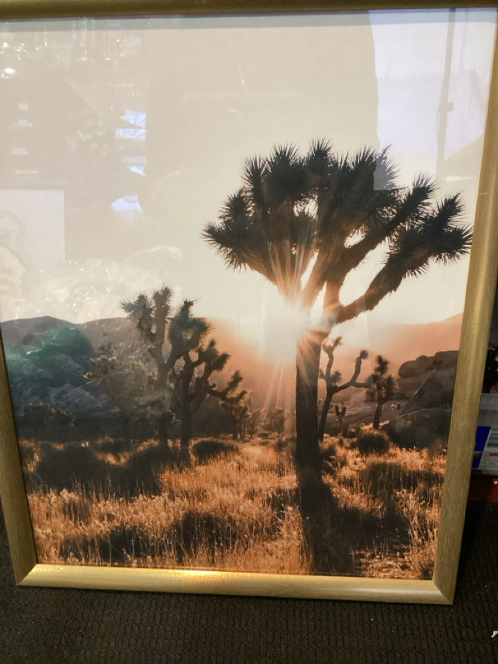 Gold/Black Joshua Tree Framed Art