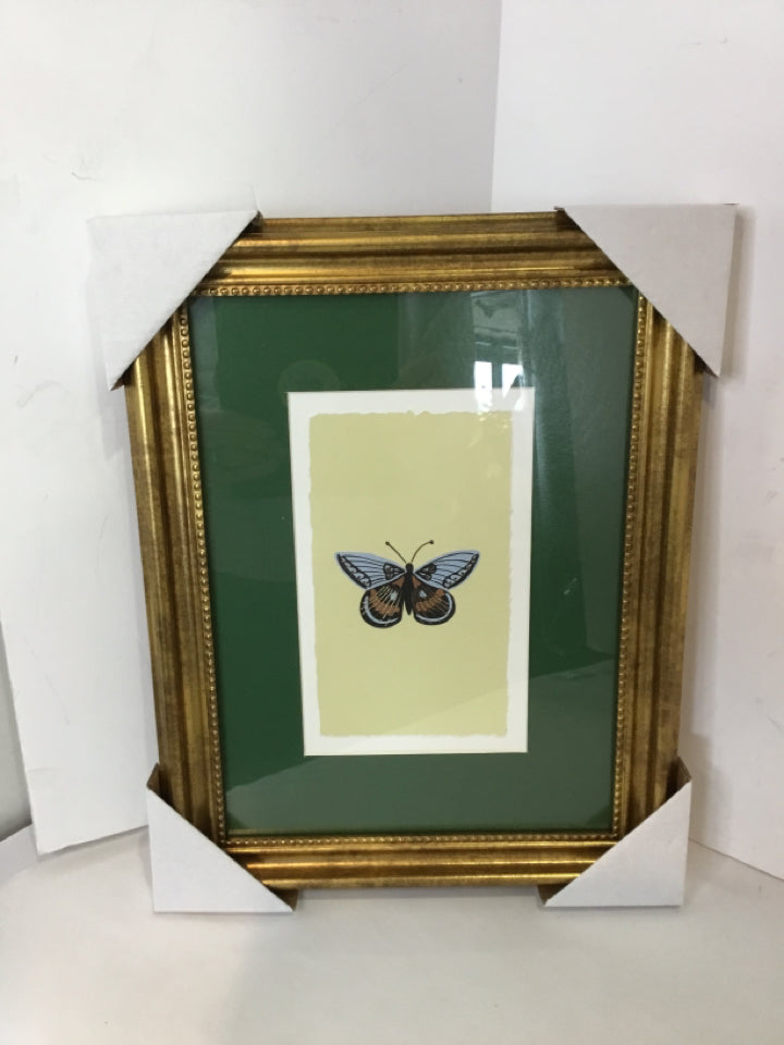 Target Green Butterfly Framed Art