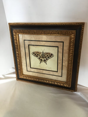 Matted Brown/Tan Leopard Insect Framed Art