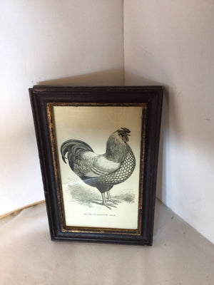 Vintage Lithograph Black/White Rooster Framed Art