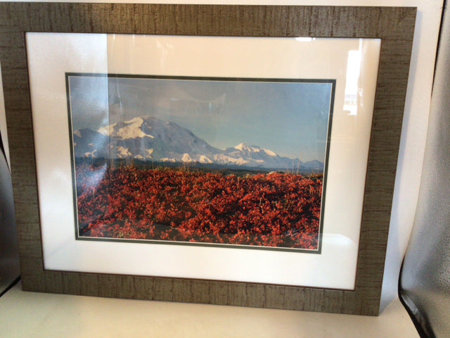 Signed Print Gray/Red Mountains Framed Art