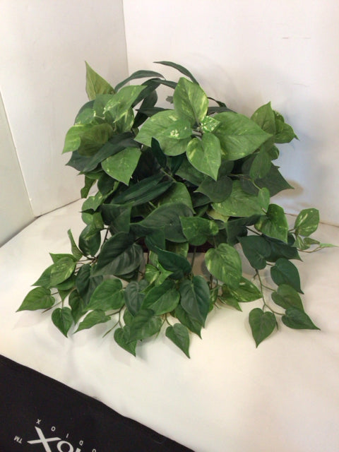 Green In Planter Faux Plant
