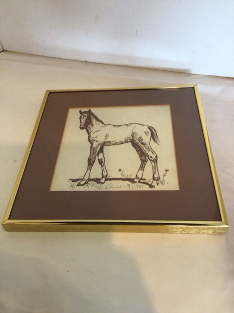 Drawing Brown/White Horse Numbered Framed Art