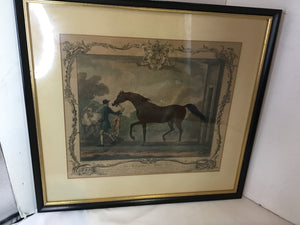 Traditional Horse Framed Art