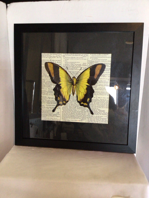 Yellow/Black Paper Butterflies Art