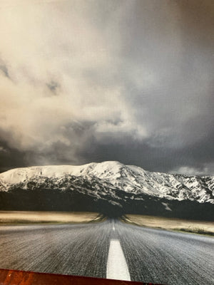 Gray/White Canvas Stretch Canvas Art