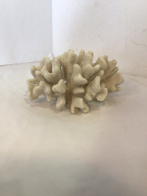 White Coral Coral Misc