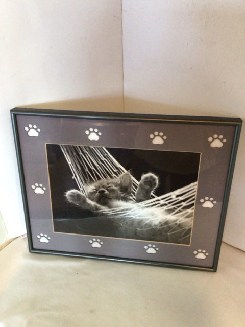 Black/White Kitten Framed Art
