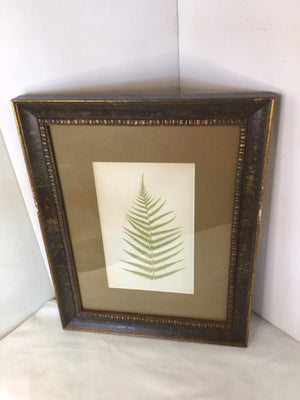 Botanical Green Leaf Framed Art
