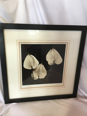 Signed Black/White Flower Framed Art