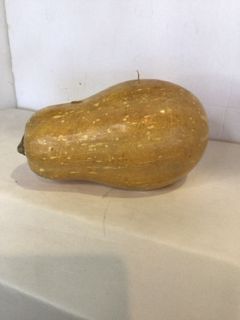 Pottery Barn Yellow Wax Squash As Is Candle
