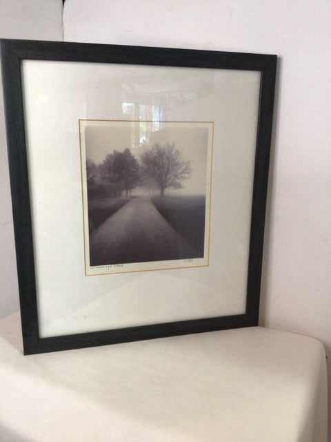 Black/White Tree As Is Framed Art