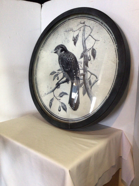 Uttermost Vintage Black/White Metal Round Birds Framed Art