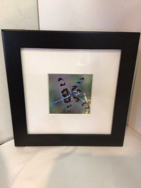 White/Multi Framed Art