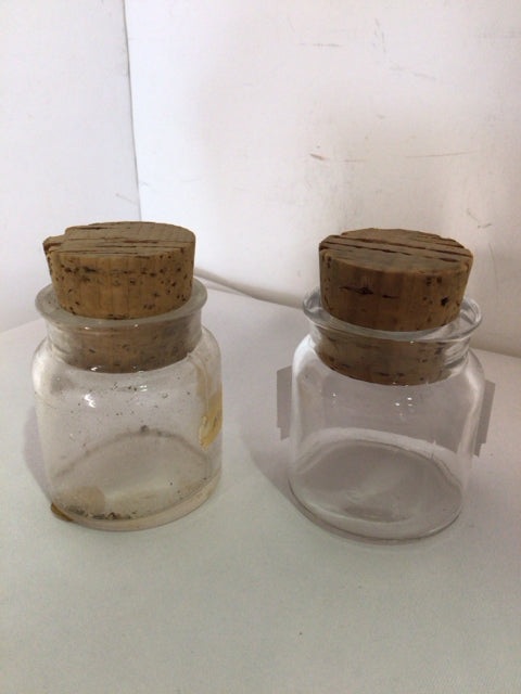Pair Clear Glass Bottle Set
