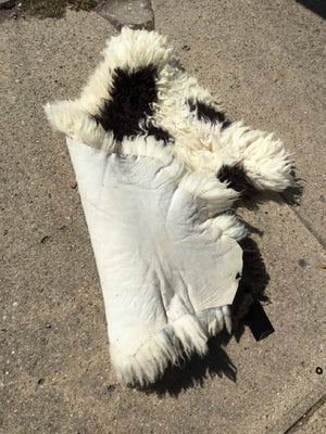 Sheepskin Black/White Rug