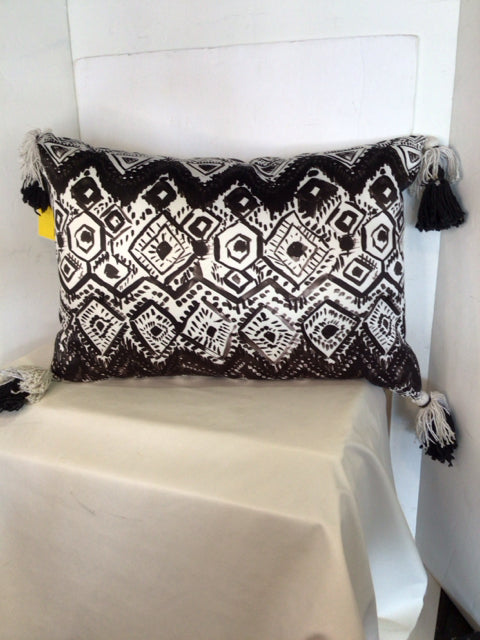 Black/White Satin Tassel Pillow