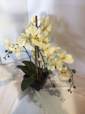 Green/Yellow Orchids In Planter Faux Flowers