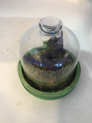 Purple/Green Glass & Wood Butterfly Dome Figurine