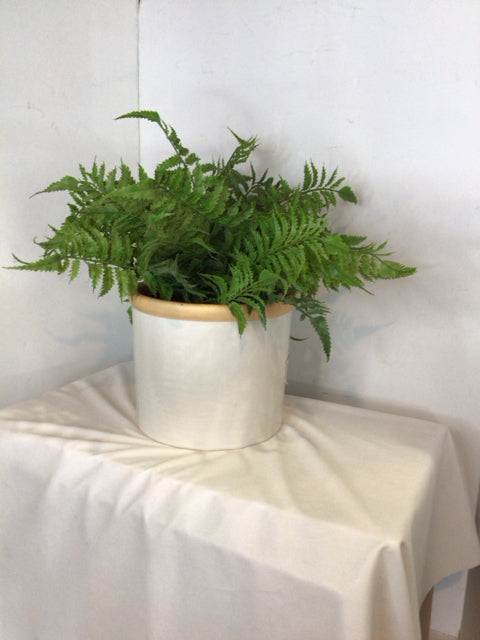 Green/White Fern In Planter Faux Plant