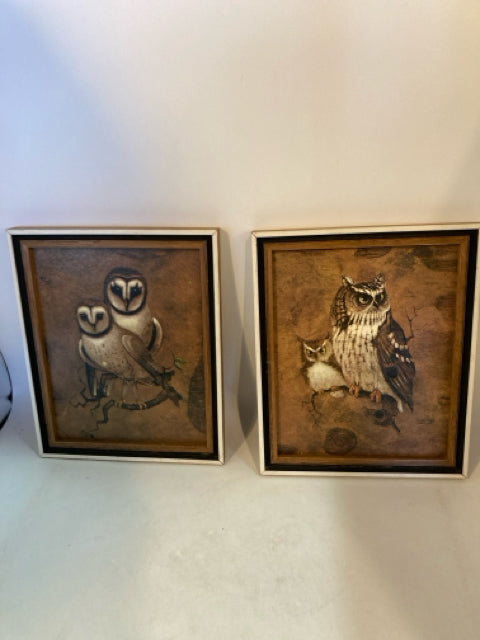 Signed Pair Brown/White Owl Framed Art