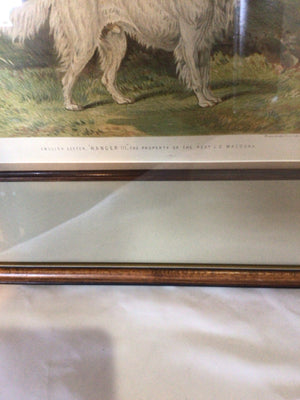 Traditional Green/Brown Dog Framed Art