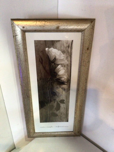 Black/White Roses Framed Art