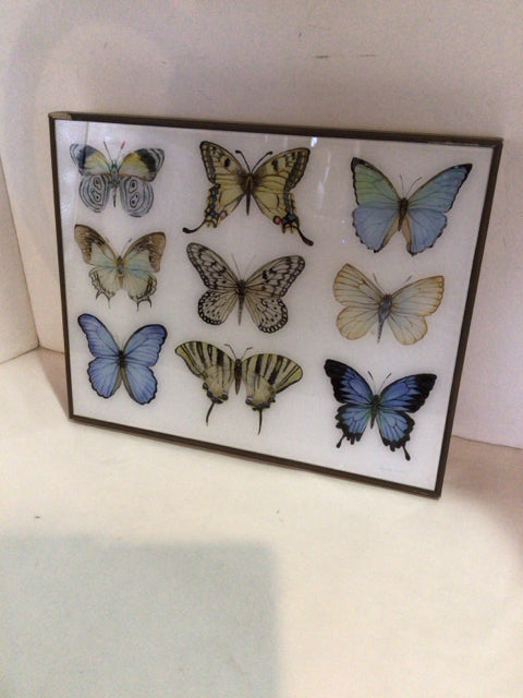 As Is Multi-Color Butterflies Framed Art