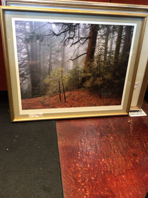 Signed Green/Brown Forest Framed Art